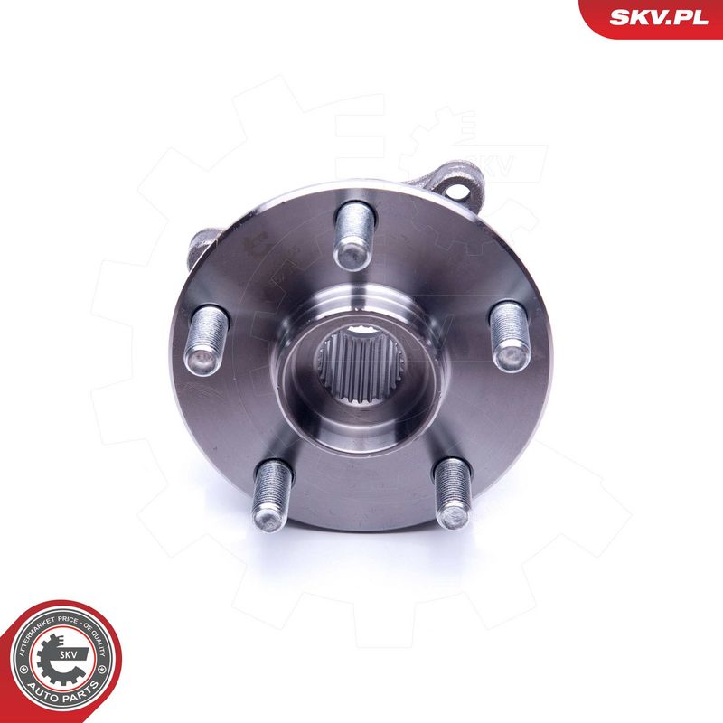 Rattalaagrikomplekt, ESEN SKV 29SKV255