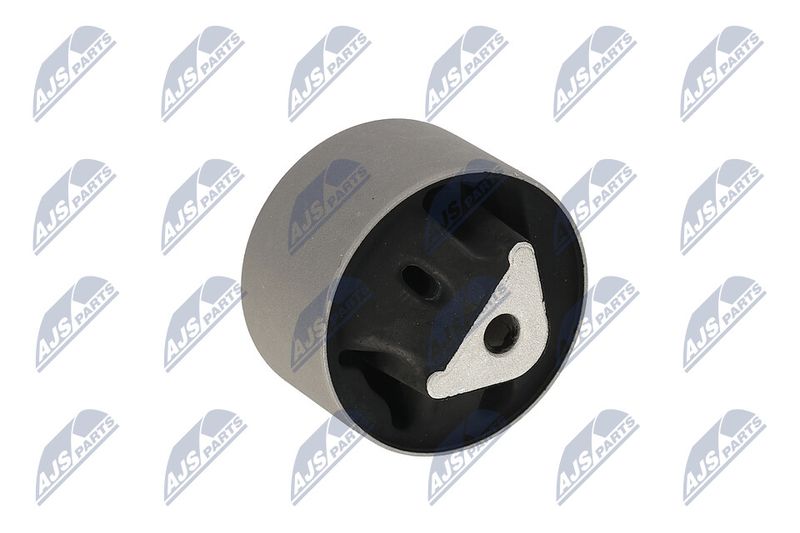 Paigutus, Mootor, NTY ZPS-CH-039