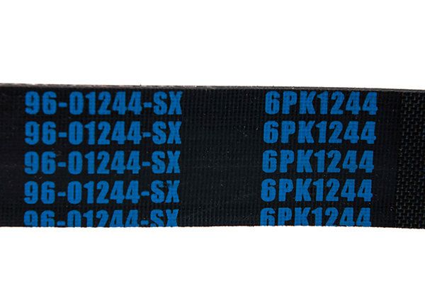 STELLOX 96-01244-SX V-ribbed Belt