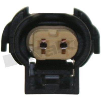 273-20359_4.JPG