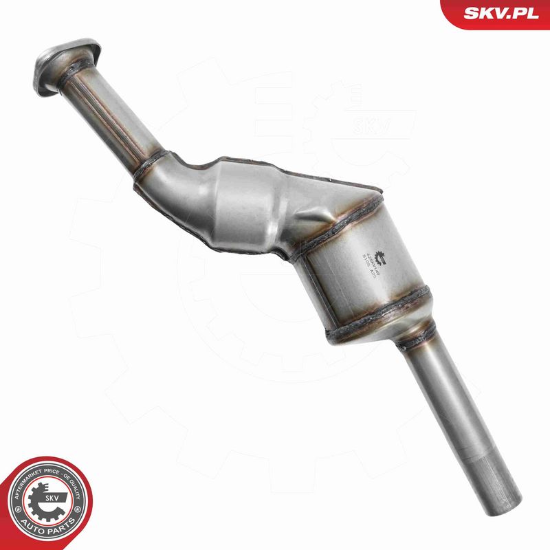 ESEN SKV 62SKV149 Catalytic Converter