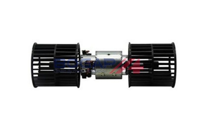 BOGAP Vidaus pūtiklis