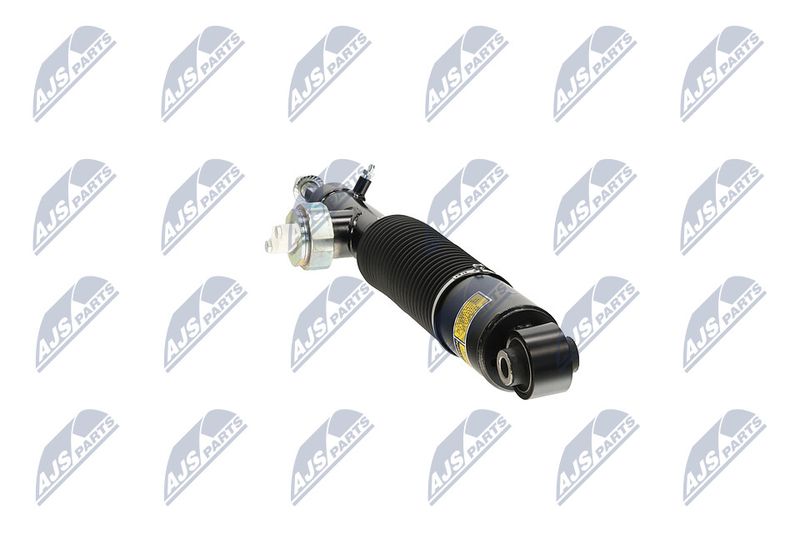 Amort, NTY A-NS-055