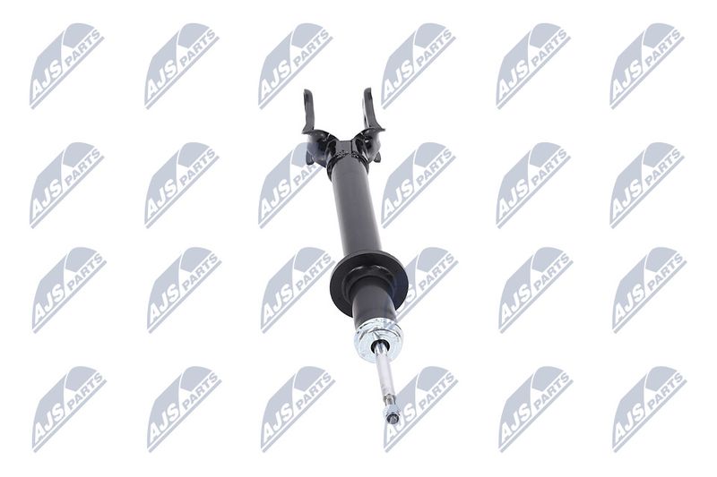 Amort, NTY A-CH-077