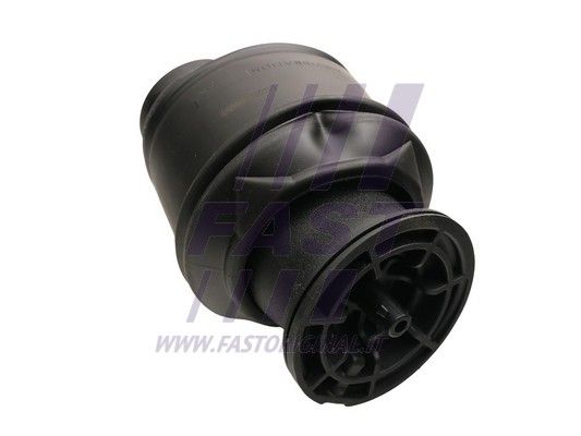 FT20218_2_1.JPG