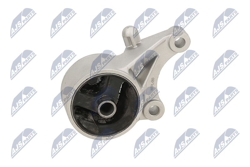 Paigutus, Mootor, NTY ZPS-PL-093