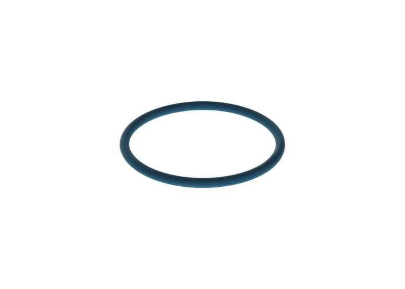 Inel cauciuc F 00N 204 108 BOSCH