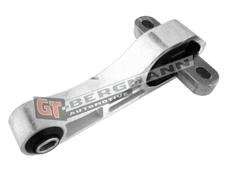GT-BERGMANN Automotive Variklio montavimas