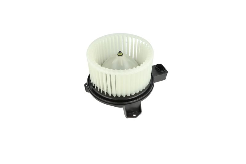 Salongipuhur, NRF 34345