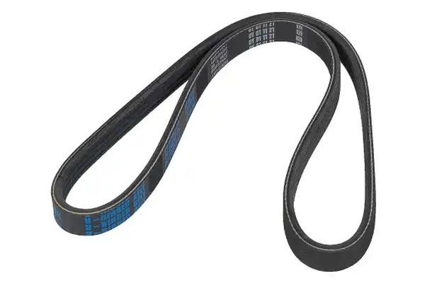 STELLOX 04-00805-SX V-Ribbed Belt