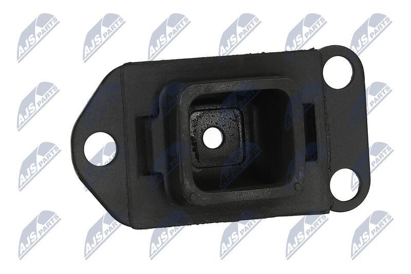 Paigutus, Mootor, NTY ZPS-NS-130