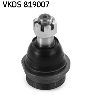 VKDS 819007.JPG