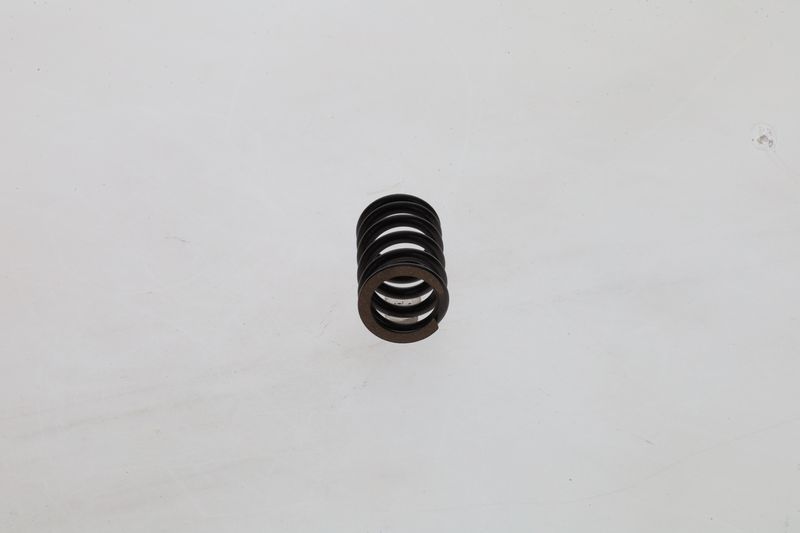 BOSCH 1 424 619 025 Spring