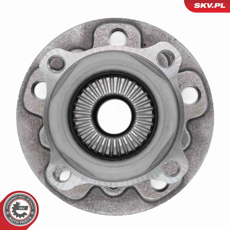 ESEN SKV 29SKV708 Wheel Bearing Kit