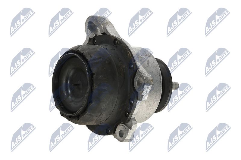 Paigutus, Mootor, NTY ZPS-FR-013