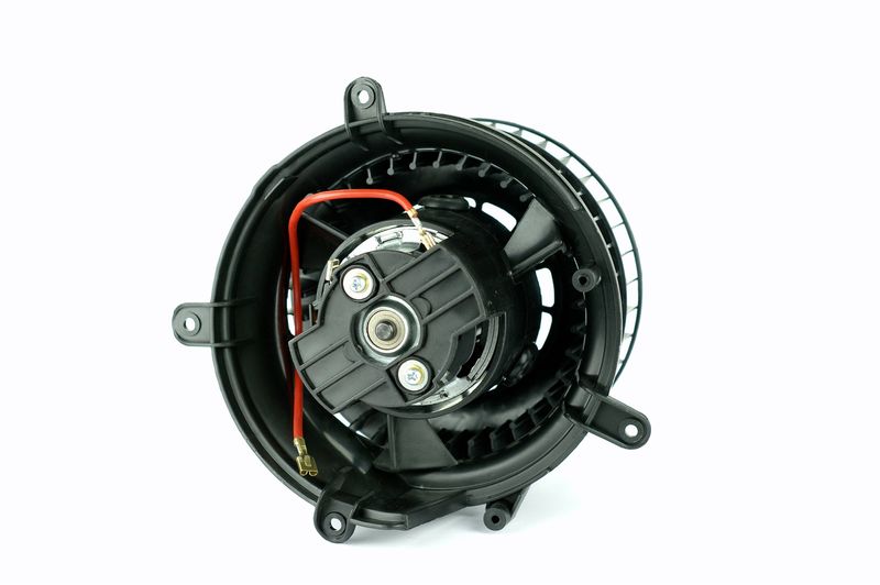 Salongipuhur, NISSENS 87152