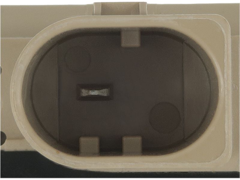 475179.JPG