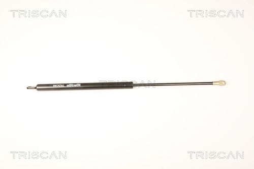 TRIS87109004.JPG