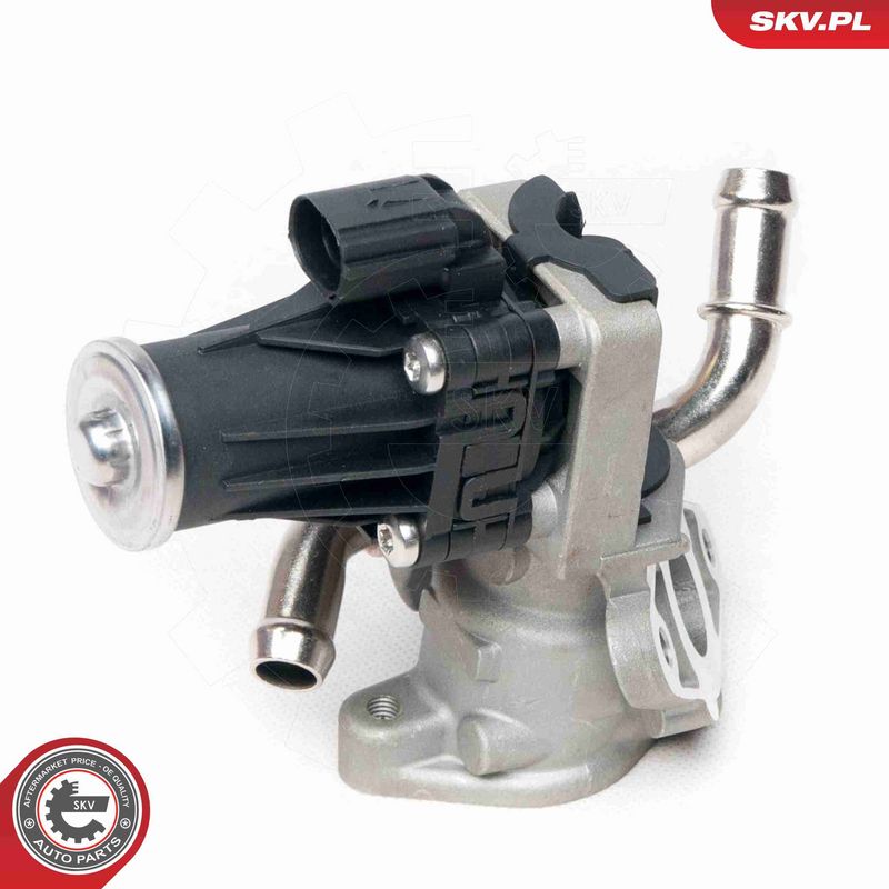 ESEN SKV 14SKV100 EGR Valve