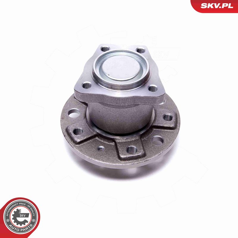 ESEN SKV 29SKV549 Wheel Bearing Kit