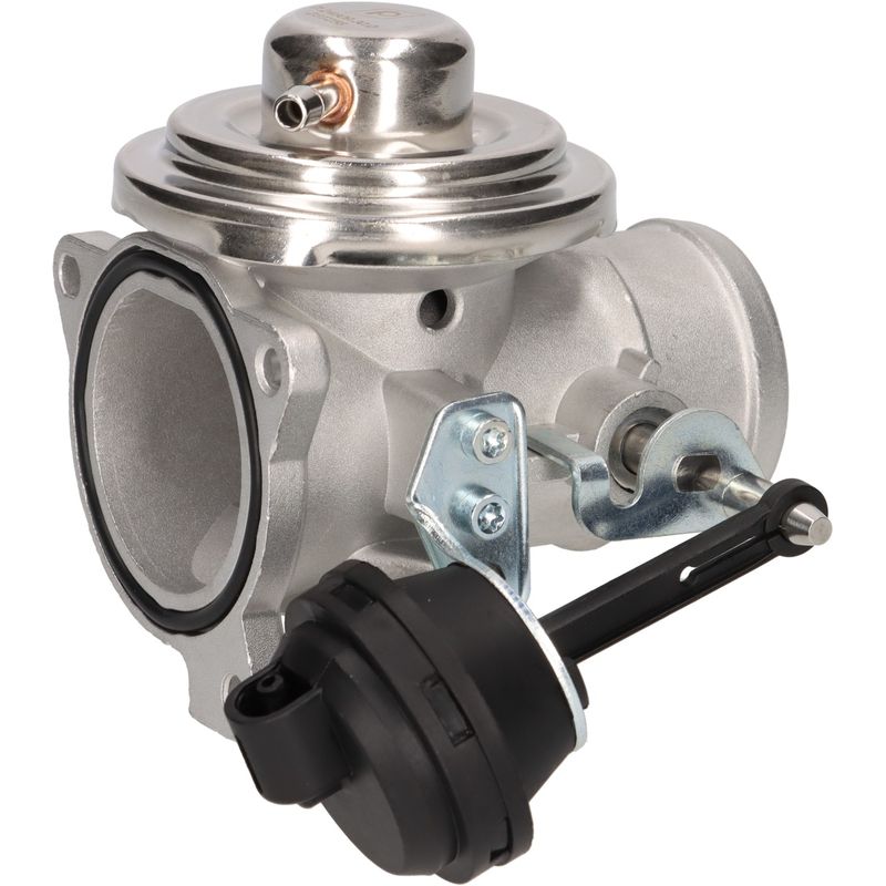 PIERBURG 7.24809.30.0 EGR Valve