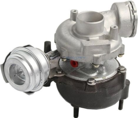 GS440141.JPG