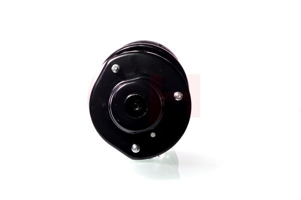 Vedruamort, GH GH-359321C02