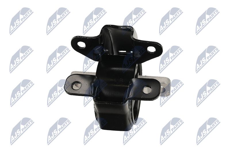 Paigutus, Mootor, NTY ZPS-CH-095