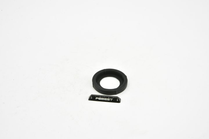 FEBEST HCP-004