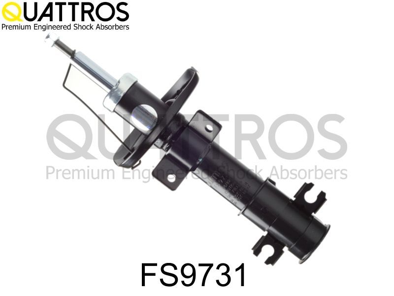 fs9731_1.JPG