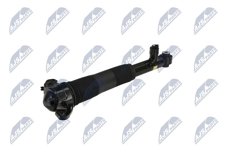 Amort, NTY A-LR-037