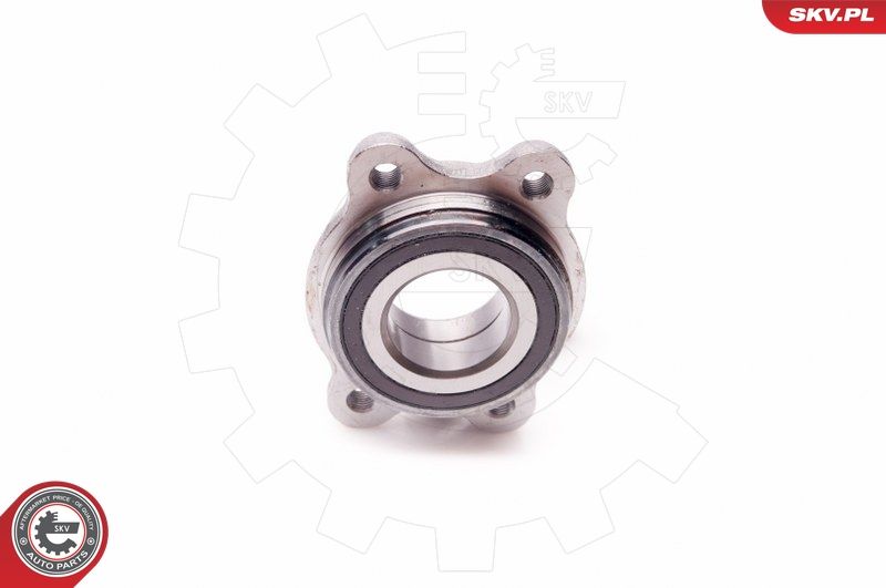 ESEN SKV 29SKV095 Wheel Bearing Kit