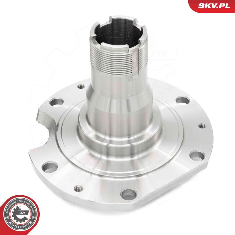 ESEN SKV 29SKV569 Wheel Bearing Kit