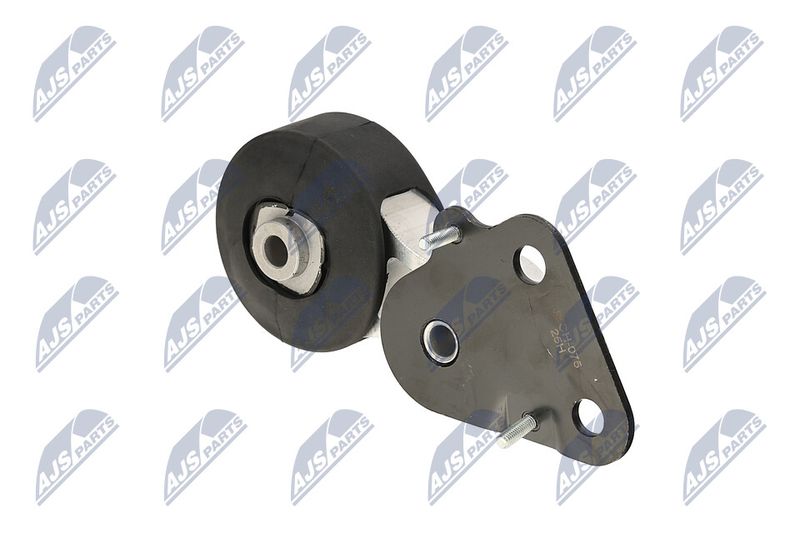 Paigutus, Mootor, NTY ZPS-CH-075