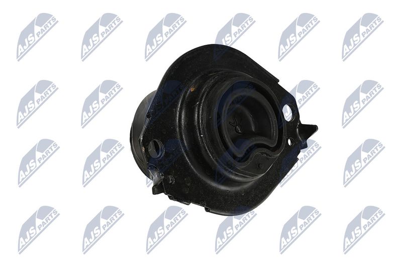 Paigutus, Mootor, NTY ZPS-CH-076