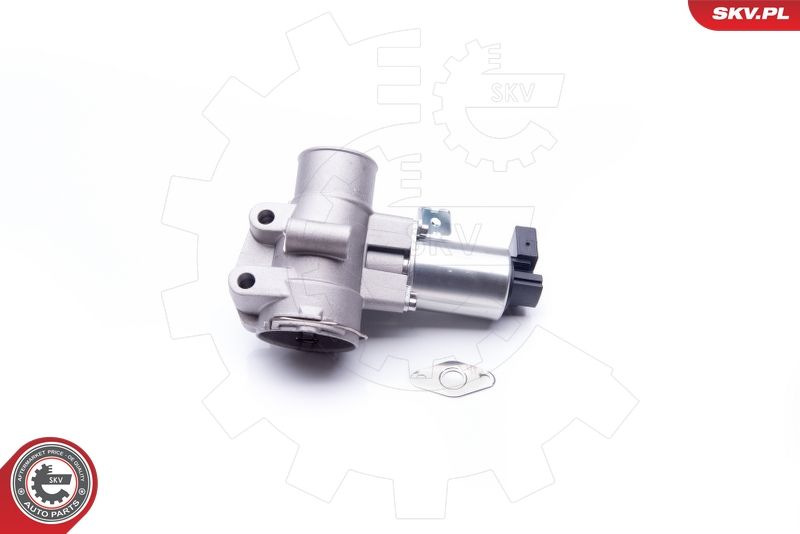 ESEN SKV 14SKV186 EGR Valve