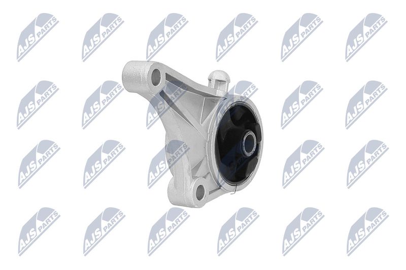 Paigutus, Mootor, NTY ZPS-PL-012