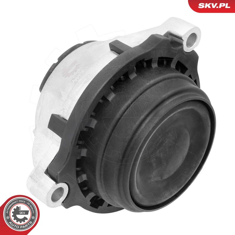 Paigutus, Mootor, ESEN SKV 75SKV086