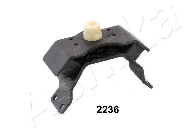 GOM-2236_1.JPG