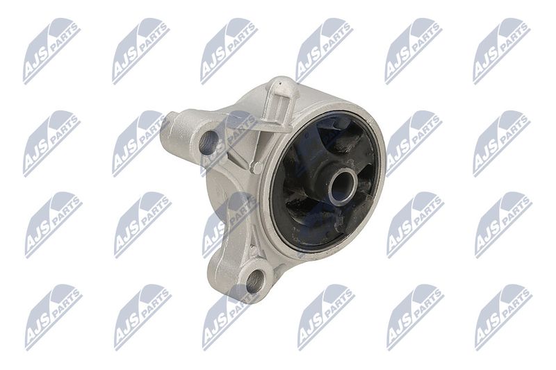 Paigutus, Mootor, NTY ZPS-PL-093