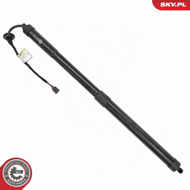 ESEN SKV 52SKV169 Electric Motor, tailgate