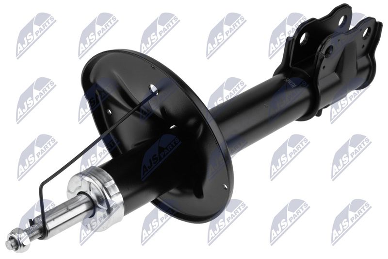 A-MS-008_1-WM.JPG