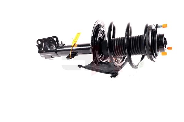 Vedruamort, GH GH-353057C01