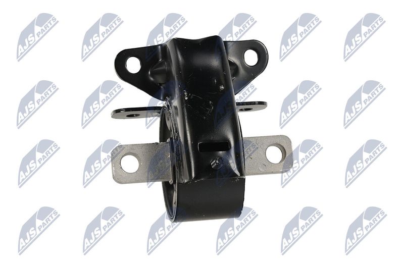 Paigutus, Mootor, NTY ZPS-CH-095