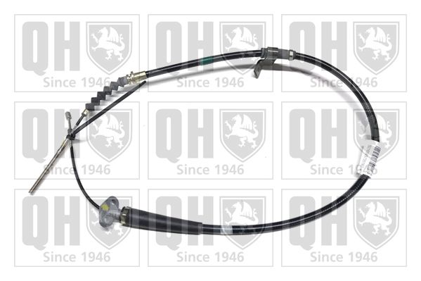 QH_BC3383.JPG