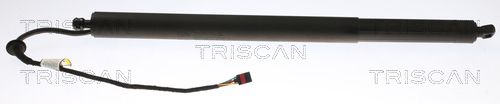 TRISCAN Gasveer, kofferruimte 8710 43302