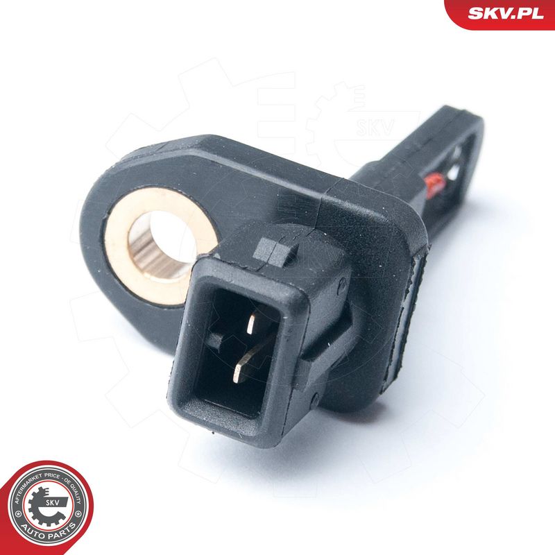 Andur, sisendõhu temperatuur, ESEN SKV 17SKV326