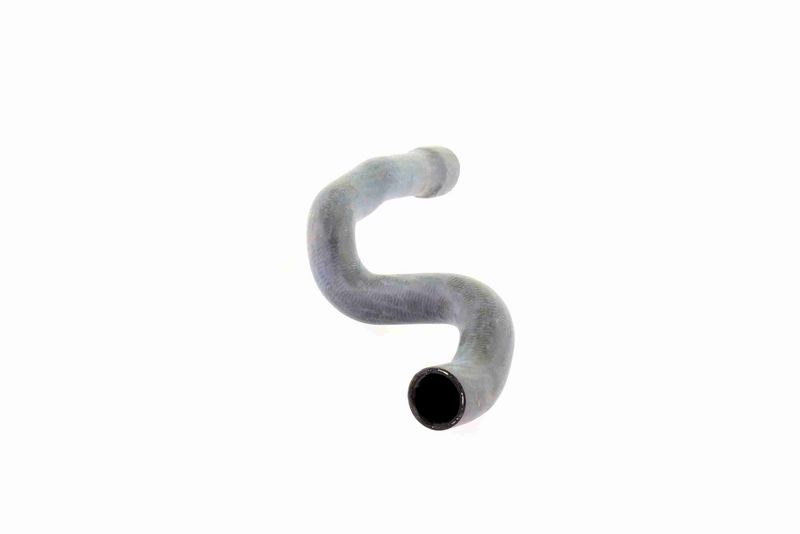 VAICO V40-1342 Radiator Hose