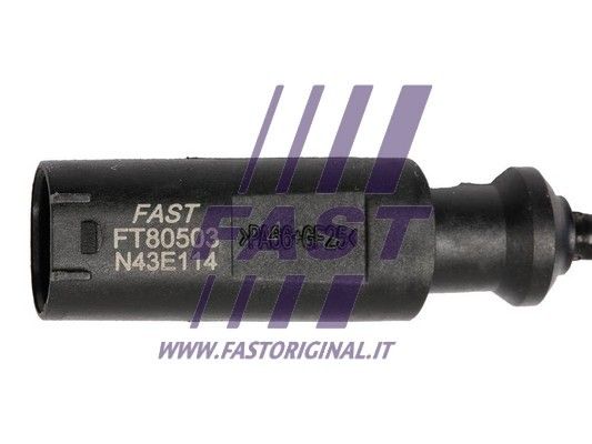 FT80503_3_1.JPG