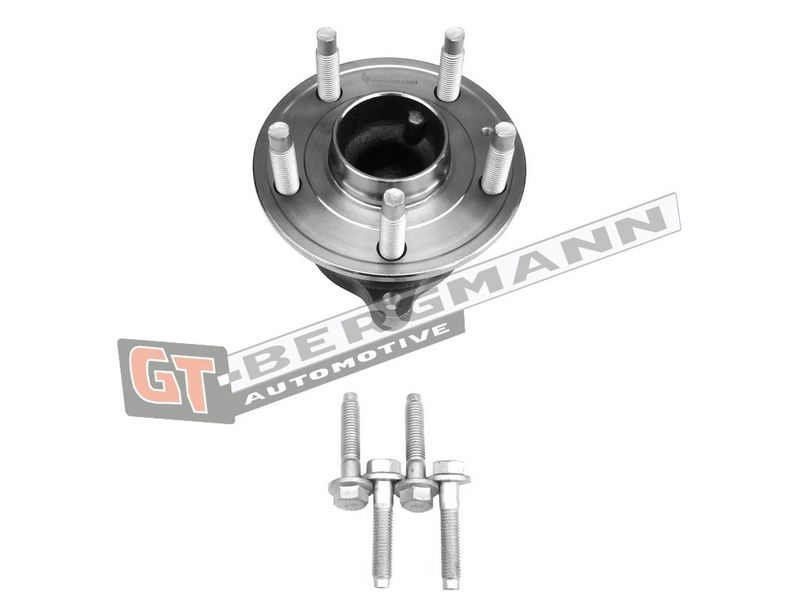 GT-BERGMANN Automotive Rato guolio komplektas